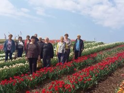 Látogatás a tulipános kertbe
